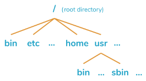 directory tree